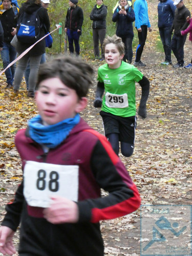 Lauf Schüler U12 männlich