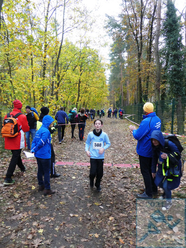 Lauf Schüler U12 männlich