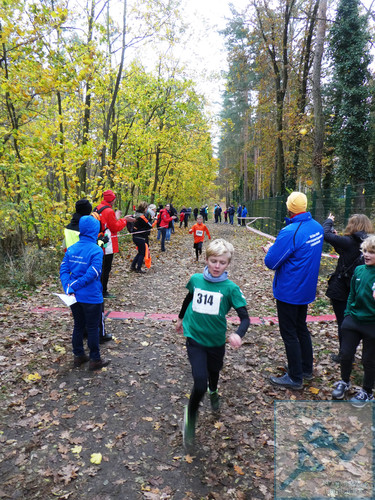 Lauf Schüler U12 männlich