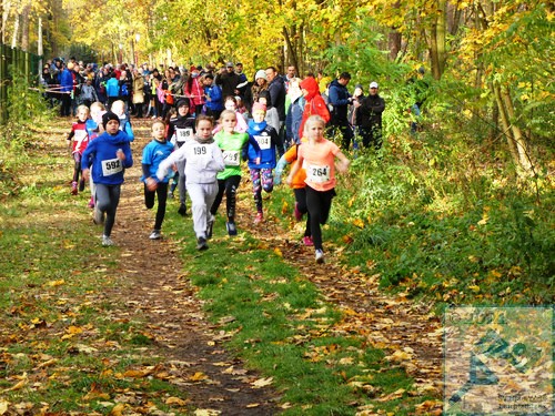 Lauf Schüler U10 weiblich