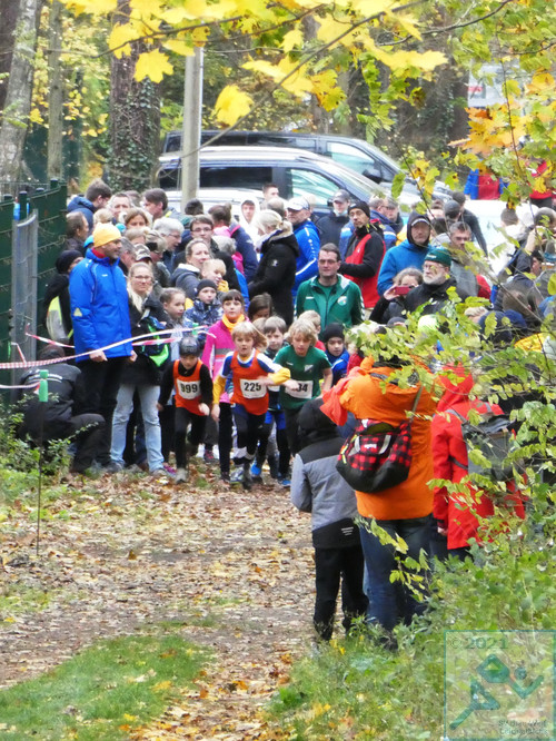 Lauf Schüler U10 männlich