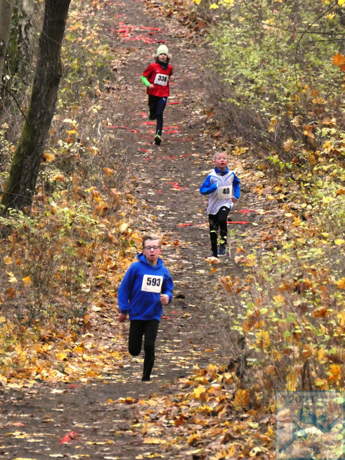 Lauf Schüler U10 männlich