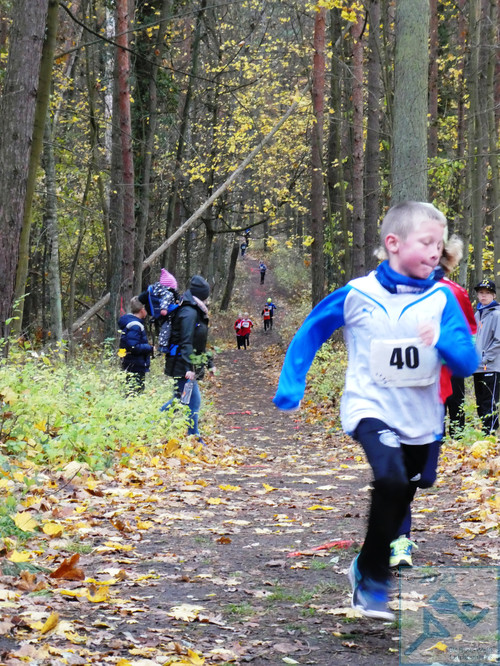 Lauf Schüler U10 männlich