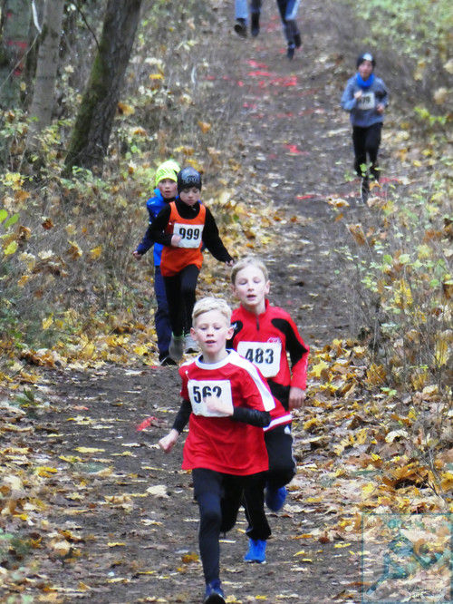 Lauf Schüler U10 männlich