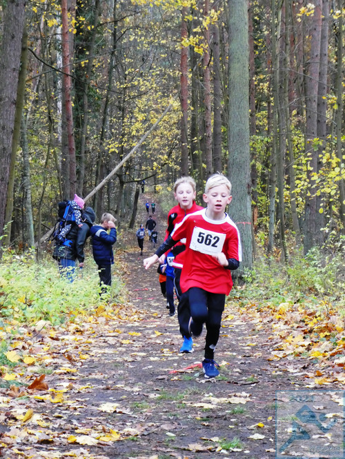 Lauf Schüler U10 männlich